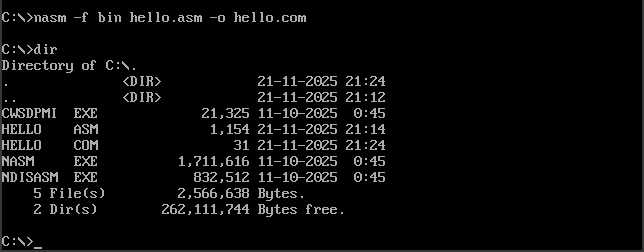 dosbox-nasm